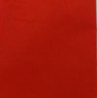 EVA TEK RENKLİ - 20X30 - 10'LU PK. - KIRMIZI